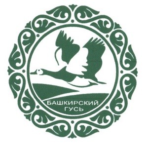 Логотип покупателя Термокамеры Техтрон (Башкирский Гусь)